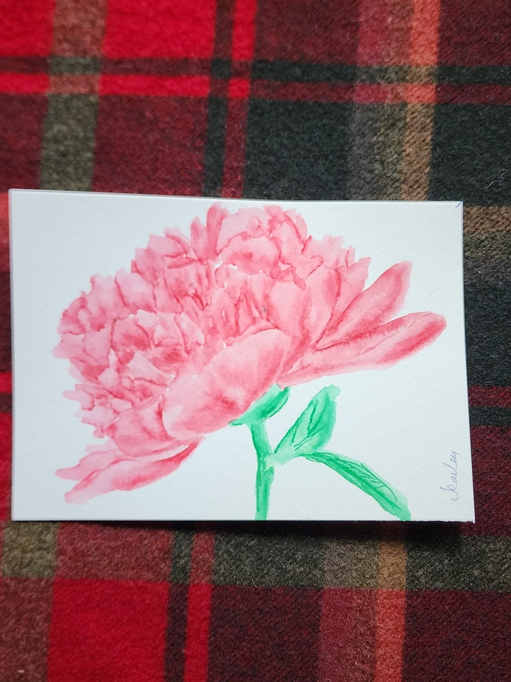 Pink Peony Watercolor Floral Art Print